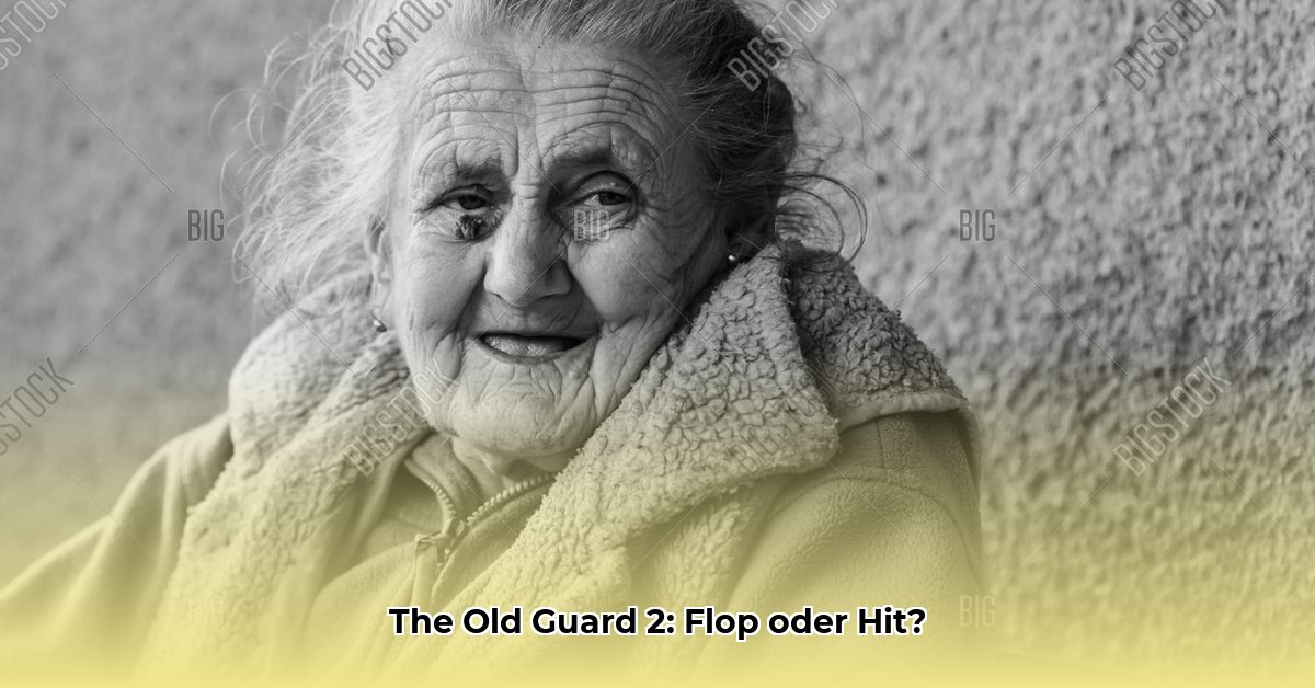 the-old-guard-2-wiki